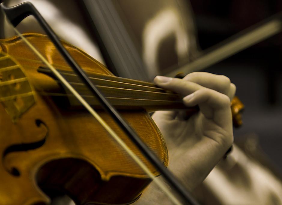 Violin