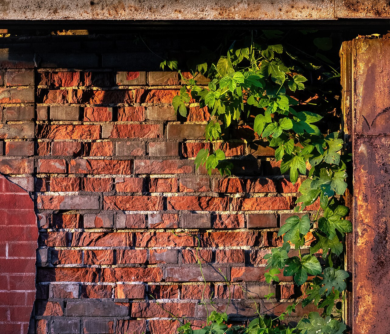 Brick wall