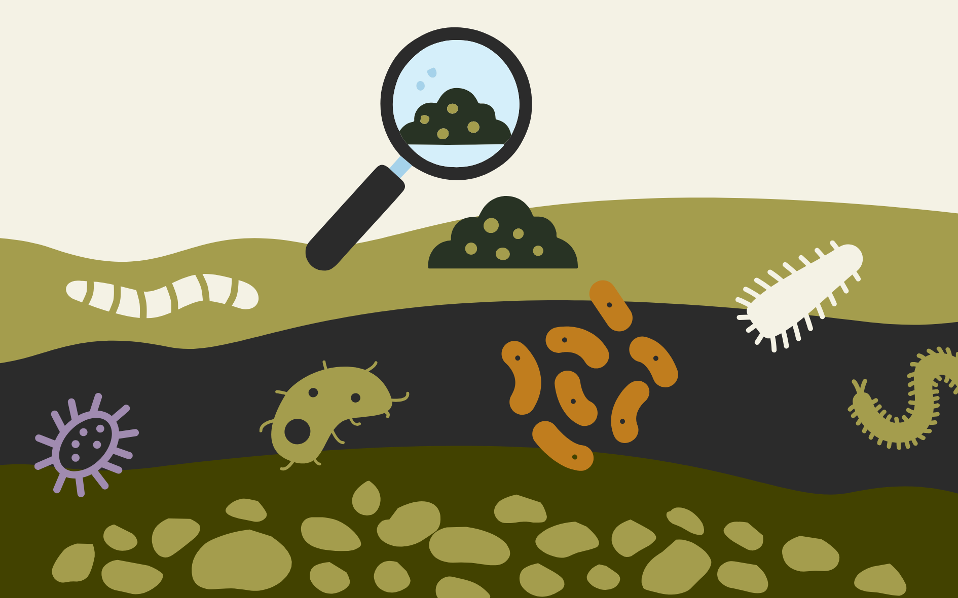 Soil Diversity and Development