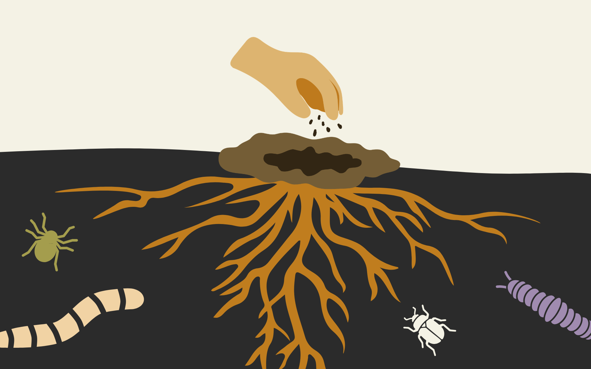 Soil Services: Why Soils Matter