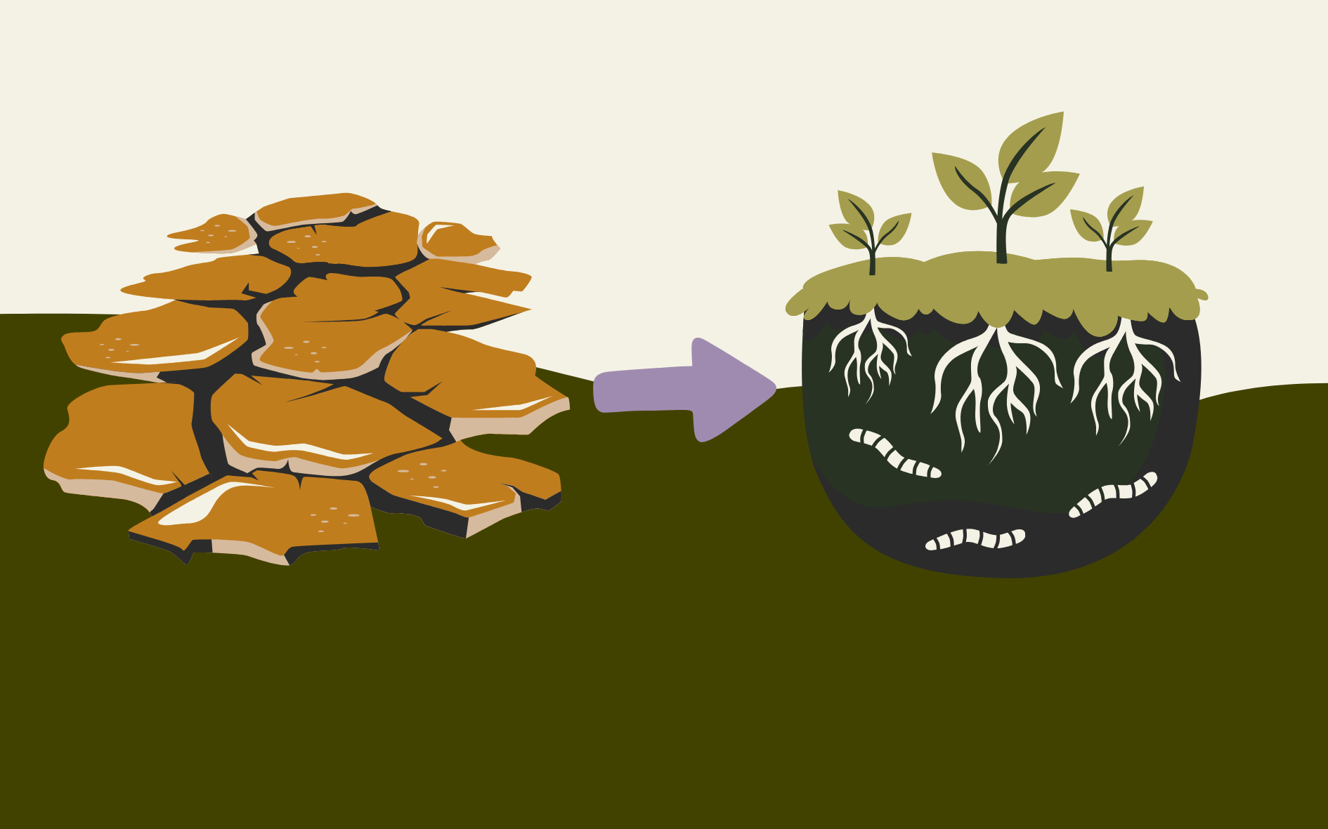 Threats to soils and solutions